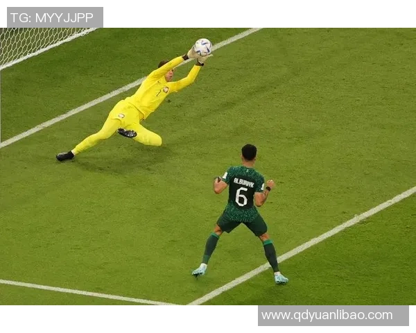 门将的荣耀时刻：众多门神齐聚演绎惊世扑救盛宴